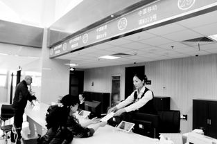 宁夏移动信息服务业务进驻市民大厅，开启便民服务新篇章